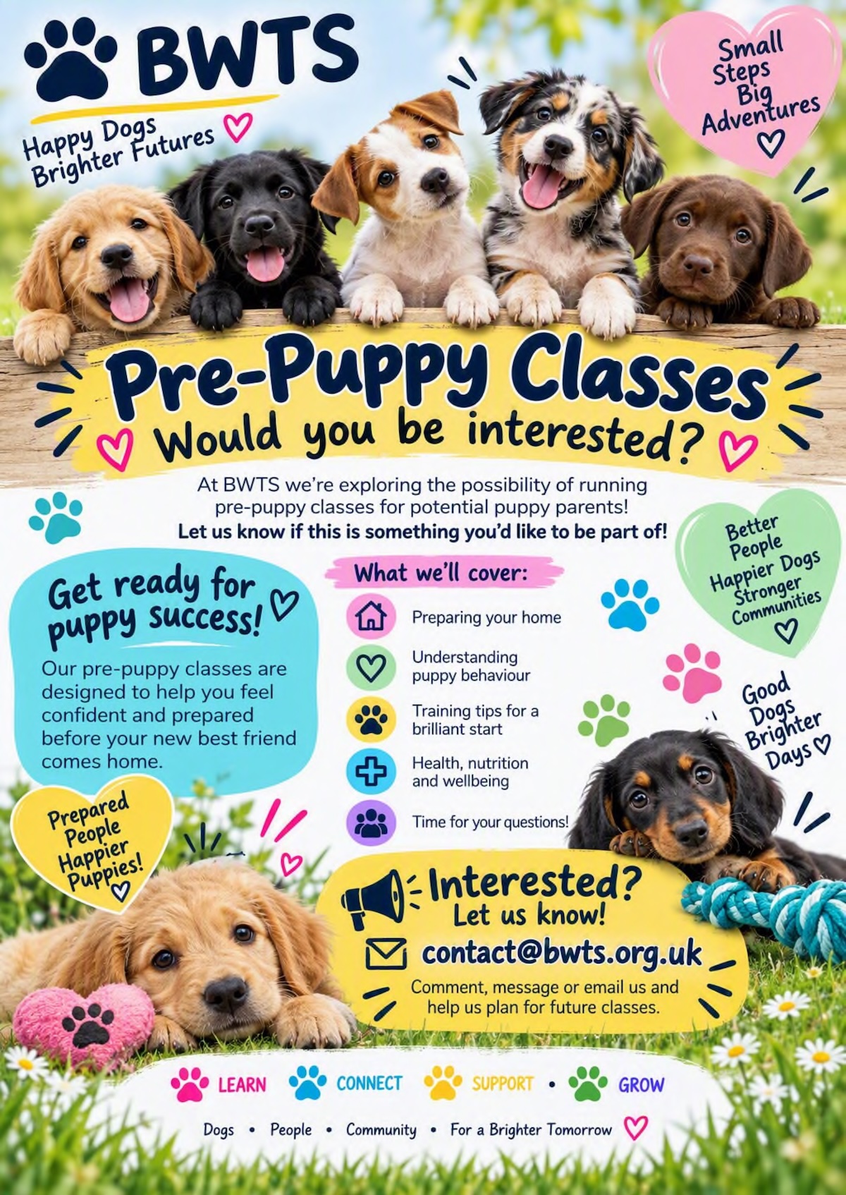 Pre-Puppy Classes at BWTS